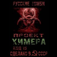 Обложка к Янг Павел - Проект Химера. Код 15. Часть 2 — Хаос