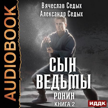 Обложка к Седых Александр, Седых Вячеслав - Сын ведьмы. Ронин