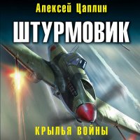 Обложка к Цаплин Алексей - Штурмовик. Крылья войны