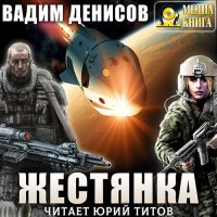 Обложка к Денисов Вадим - Жестянка