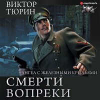 Обложка к Виктор Тюрин - Ангел с железными крыльями