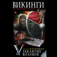 Обложка к Бахрошин Николай - Викинги. Заклятие волхвов