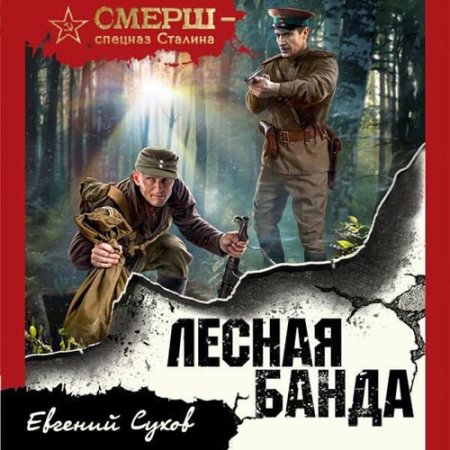 Обложка к Сухов Евгений - Лесная банда