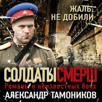 Обложка к Тамоников Александр - Жаль, не добили