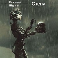 Обложка к Шорохов Владимир - Стена