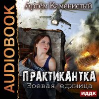 Обложка к Каменистый Артем - Практикантка. Боевая единица