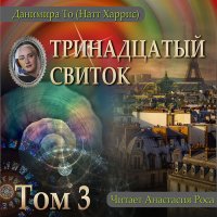 Обложка к То Данимира - Тринадцатый свиток. Том 3