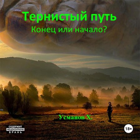 Обложка к Усманов Хайдарали - Тернистый путь. Конец или начало?