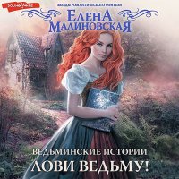 Обложка к Малиновская Елена - Лови ведьму!