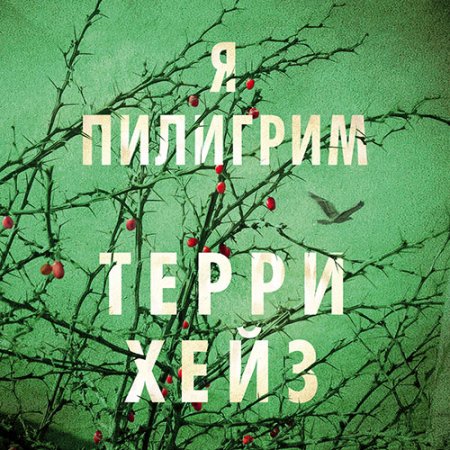 Обложка к Хейз Терри - Я Пилигрим