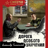 Обложка к Тамоников Александр - Дорога особого значения