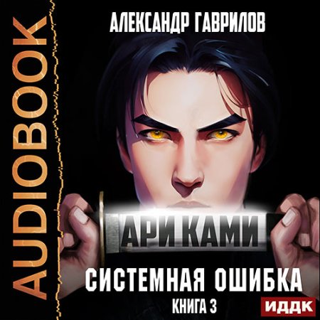 Обложка к Гаврилов Александр - Ари Ками 3. Системная ошибка