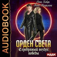 Обложка к Хейди Лена, Магдалина Анна - Орден света. Серебряный воздух победы