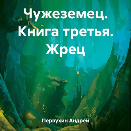 Обложка к Первухин Андрей - Чужеземец. Книга третья. Жрец