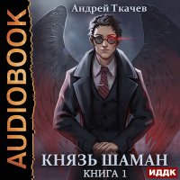 Обложка к Ткачев Андрей - Князь шаман. Книга 1