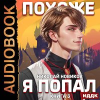 Обложка к Новиков Николай - Похоже, я попал. Книга 3. Похоже, вы попали